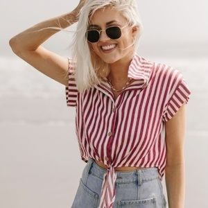 Vestique Horizons Ahead top